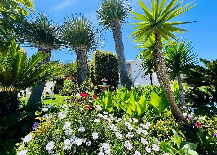 Casa Del Mir Tegueste